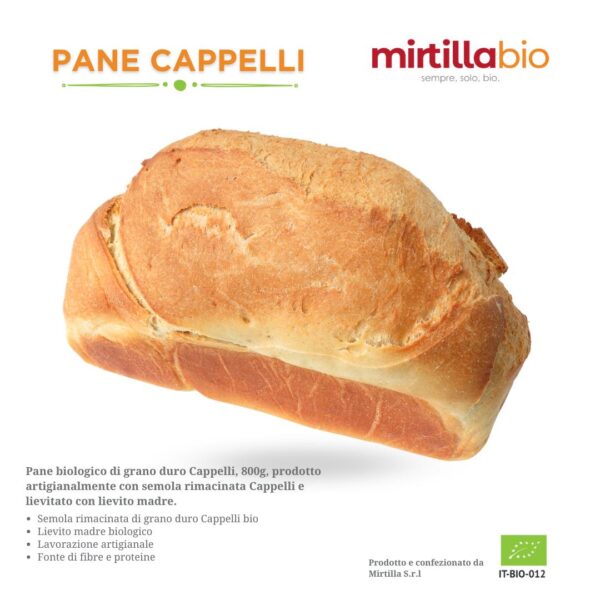 Pane Cappelli biologico di Mirtilla Bio, lavorato artigianalmente con semola di grano duro Cappelli e lievito madre.