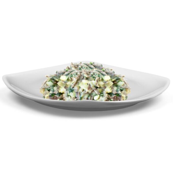 Primo piatto pronto Pizzoccheri di grano saraceno con burro, formaggio, patate, verze e coste. su piatto bianco