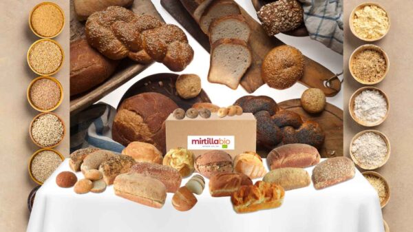 Box Bio Pane Mirtilla